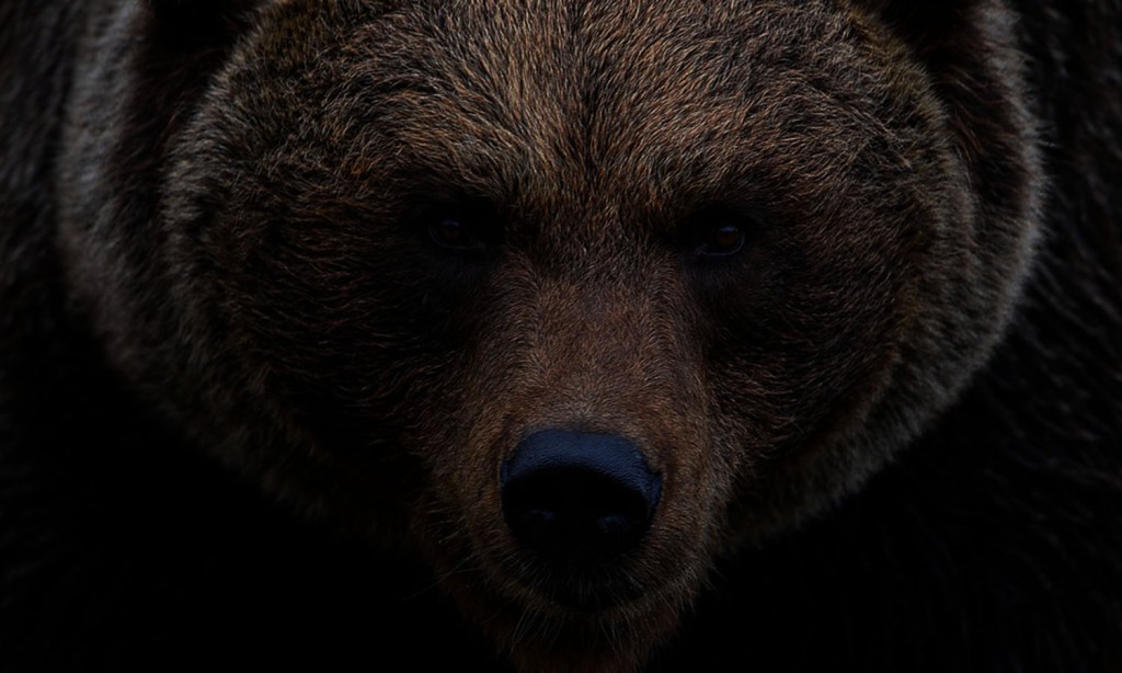 There Are Such Things as&nbsp;Monsters